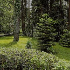 Резервации за месец юни