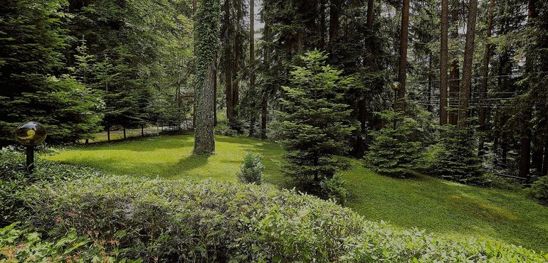 Резервации за месец юни